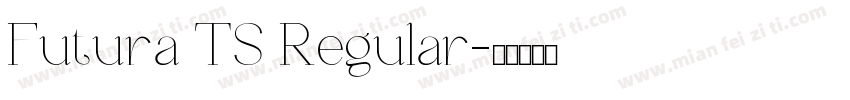 Futura TS Regular字体转换
